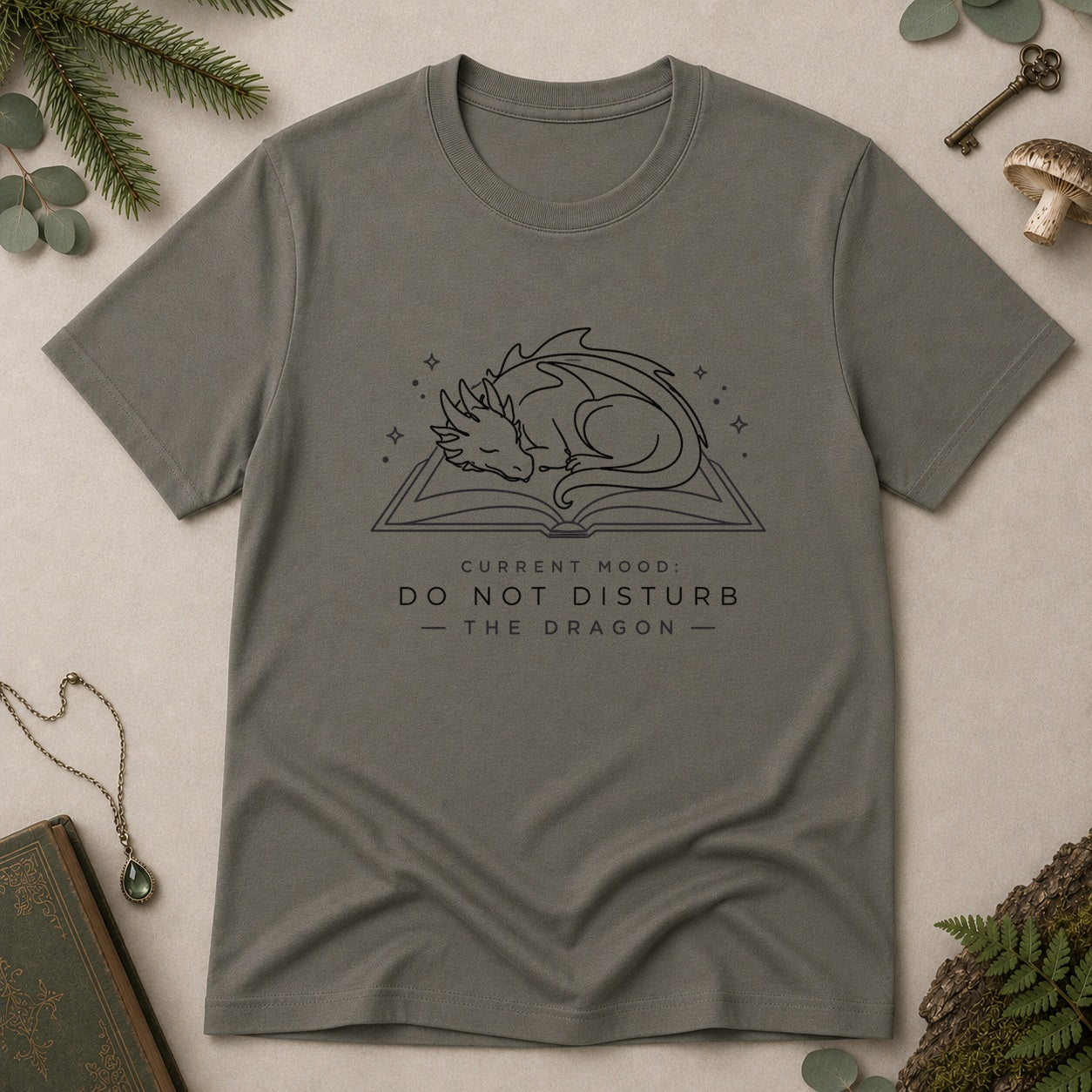 Do Not Disturb the Dragon T-Shirt - Charcoal