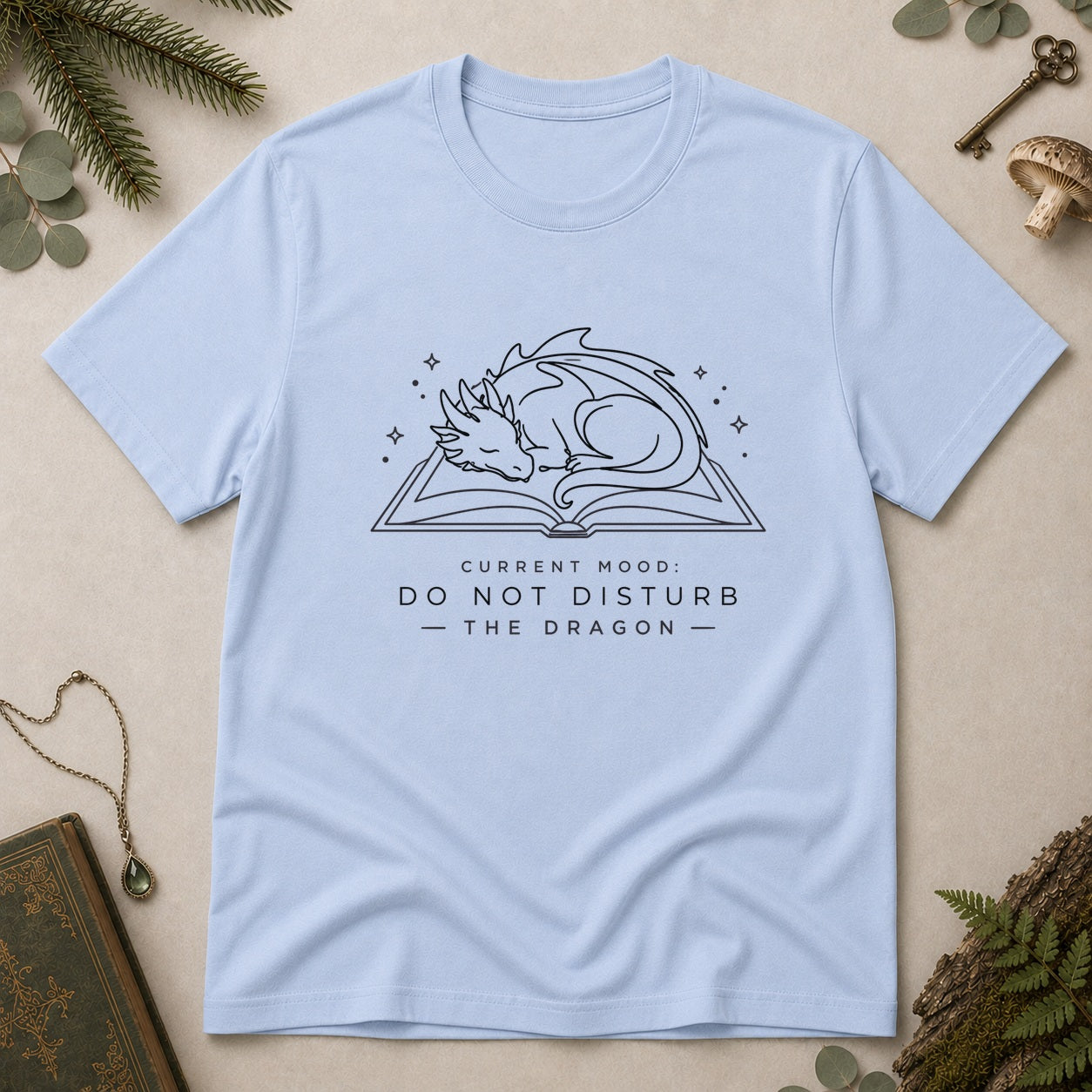 Do Not Disturb the Dragon T-Shirt - Light Blue